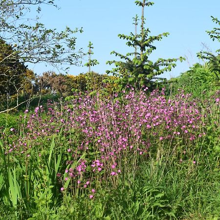 Shepherd'S Loch Glamping Turriff Exteriér fotografie